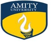 Amity University - Chattisgarh