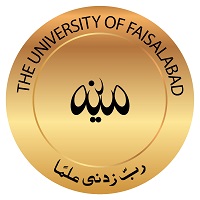 The University of Faisalabad
